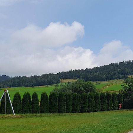 Pokoje Goscinne Budzowie Czarna Góra Exteriör bild